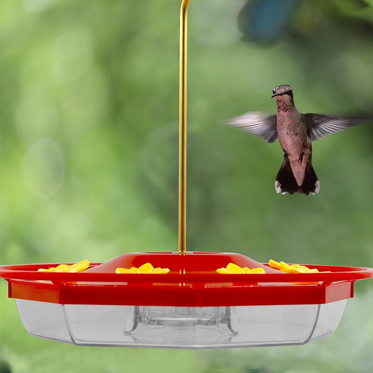 Lulu Home Hummingbird Feeder, 16 Fluid Ounces Flower Bird Feeder with 8 Feeding Stations for Outdoors - 细节图 6