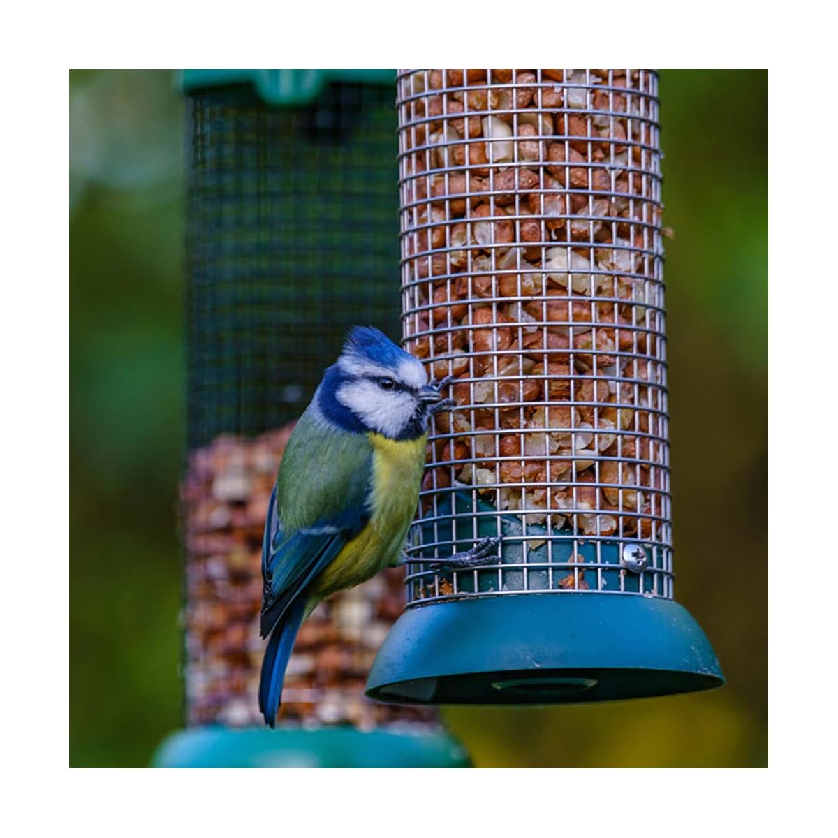 Lulu Home Hanging Bird Feeder, Set of 3 Tube Bird Feeders for Outside Hanging, Wild Bird Seed Feeders for Cardinal Birds - detail image 4