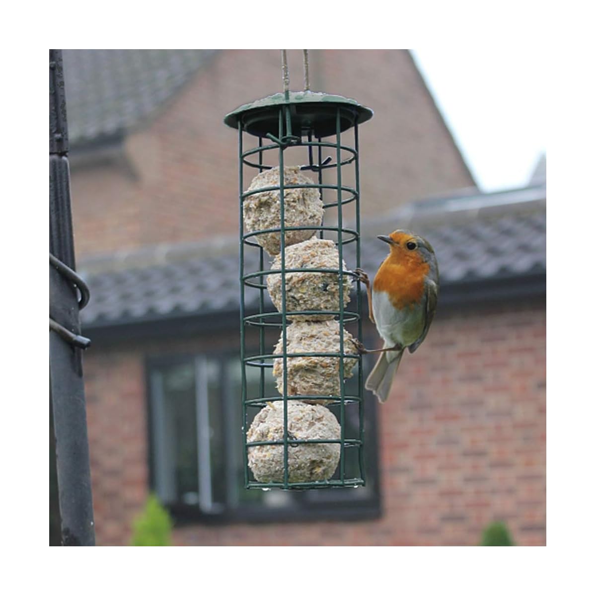 Lulu Home Hanging Bird Feeder, Set of 3 Tube Bird Feeders for Outside Hanging, Wild Bird Seed Feeders for Cardinal Birds - detail image 3