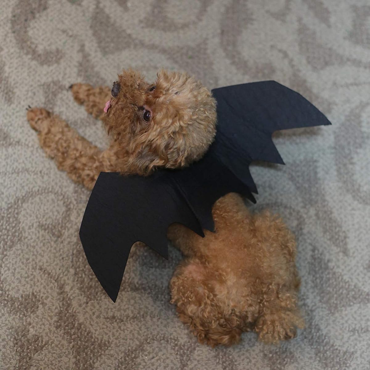 Lulu Home Pet Bat Wings for Halloween Party Decoration, Puppy Collar Leads Cosplay Bat Costume,Cute Puppy Cat Dress Up Accessories - imagem de detalhe 6