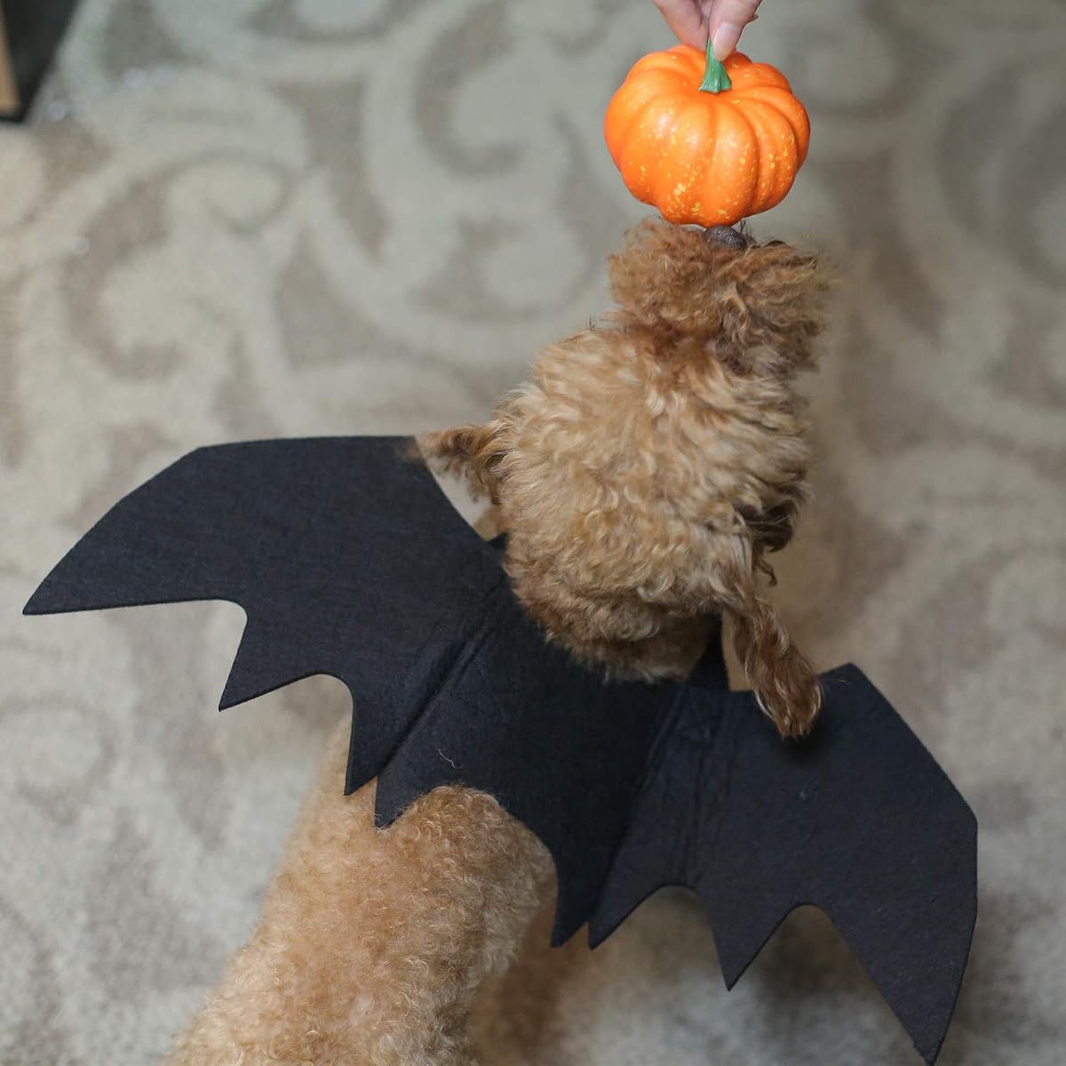 Lulu Home Pet Bat Wings for Halloween Party Decoration, Puppy Collar Leads Cosplay Bat Costume,Cute Puppy Cat Dress Up Accessories - imagem de detalhe 3