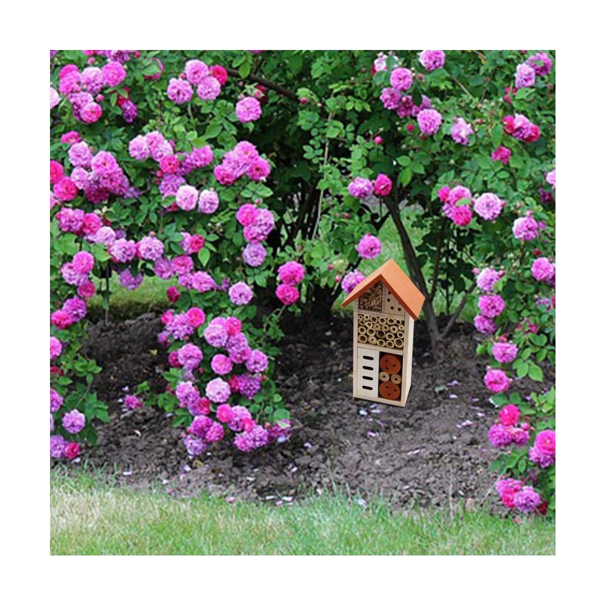 Lulu Home Wooden Insect House, Hanging Insect Hotel for Bee, Butterfly, Ladybirds, Beneficial Insect Habitat, Bug Hotel Garden, 10.4 X 3.4 X 5.4 Inch - imagem de detalhe 5
