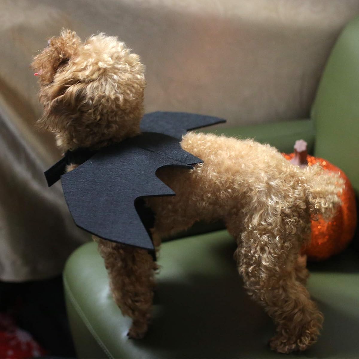 Lulu Home Pet Bat Wings for Halloween Party Decoration, Puppy Collar Leads Cosplay Bat Costume,Cute Puppy Cat Dress Up Accessories - imagem de detalhe 4