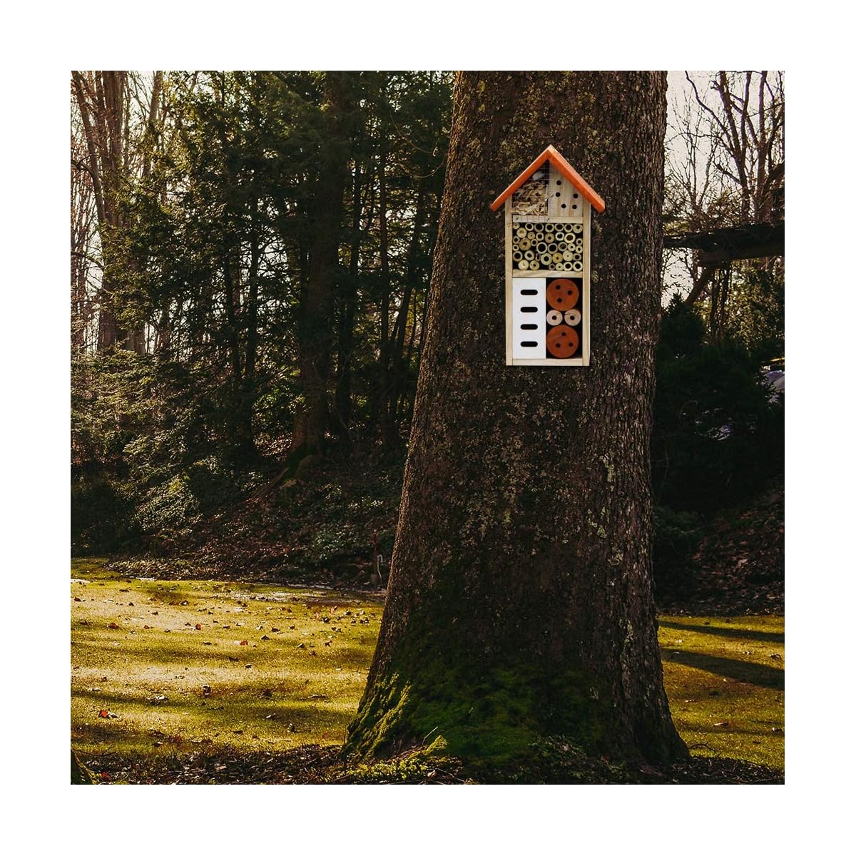 Lulu Home Wooden Insect House, Hanging Insect Hotel for Bee, Butterfly, Ladybirds, Beneficial Insect Habitat, Bug Hotel Garden, 10.4 X 3.4 X 5.4 Inch - imagem de detalhe 3