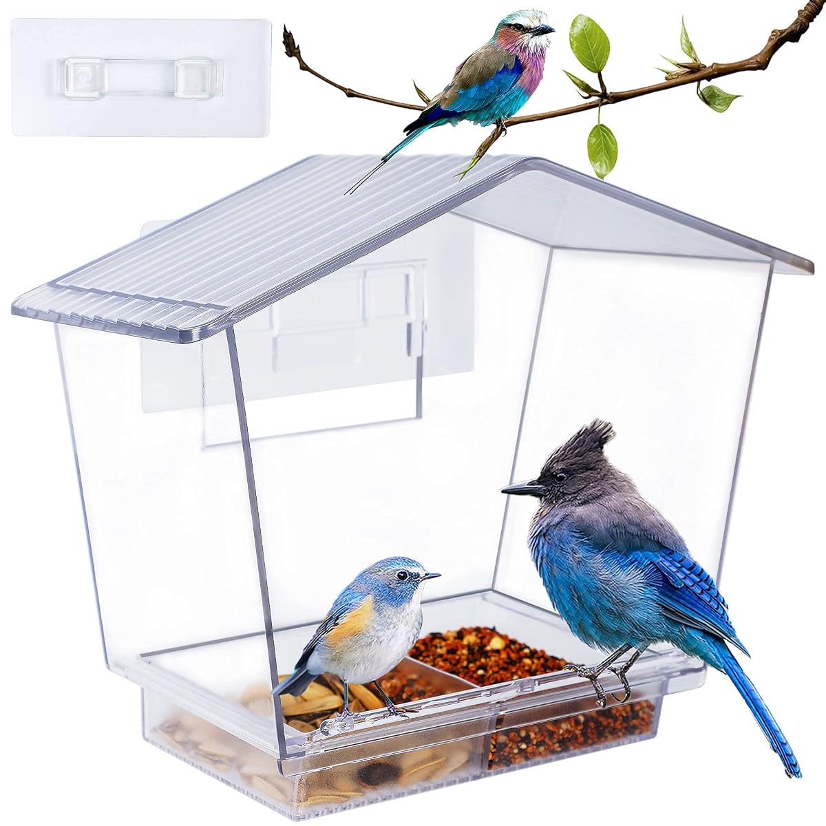 Window Bird Feeder, 10 X 7 X 5 Inch Clear Acrylic House Window Mount Bird Seed Feeder with Removable Sliding Tray and Drain Holes for Cardinal Bird Outside - 细节图 1